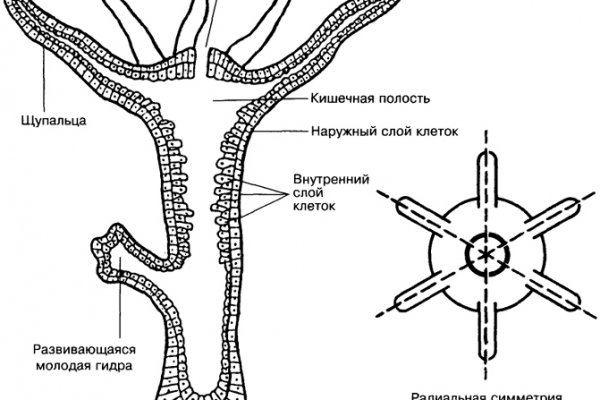 Кракен официальный сайт онион