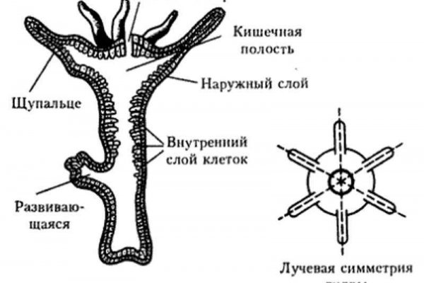 Магазин веществ кракен