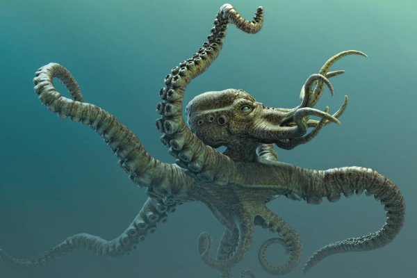 Kraken взломать